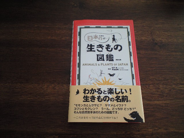 f0109635_1324746.jpg