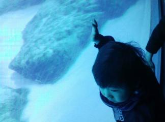 c0091038_22592269.jpg