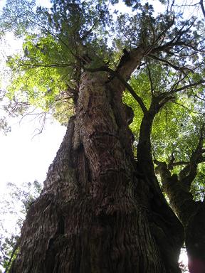 f0005043_21113413.jpg
