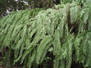 f0005043_2132029.jpg