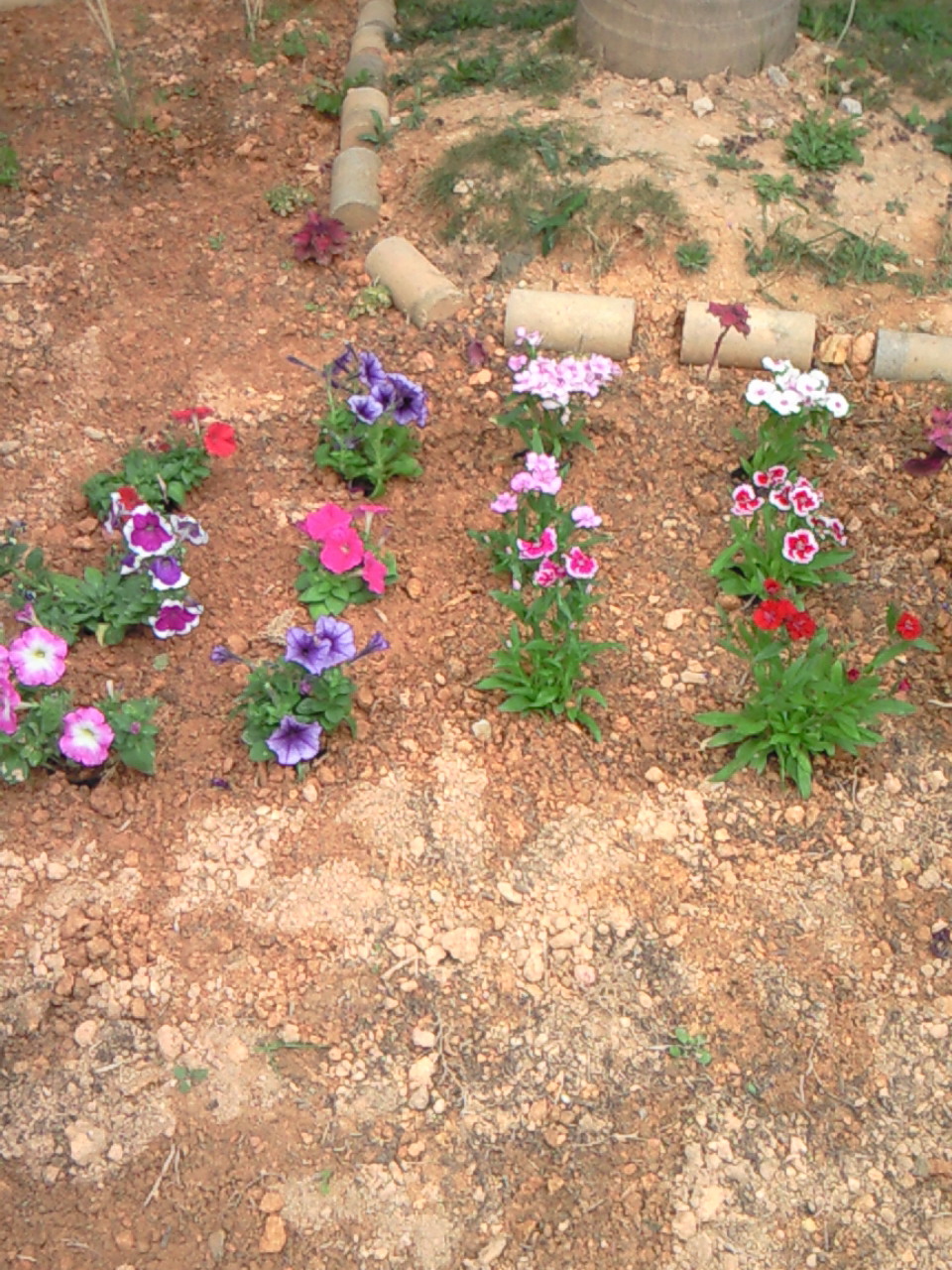 e0077448_18282430.jpg