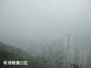f0190653_1061350.jpg