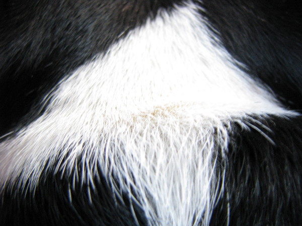 f0160554_1940344.jpg