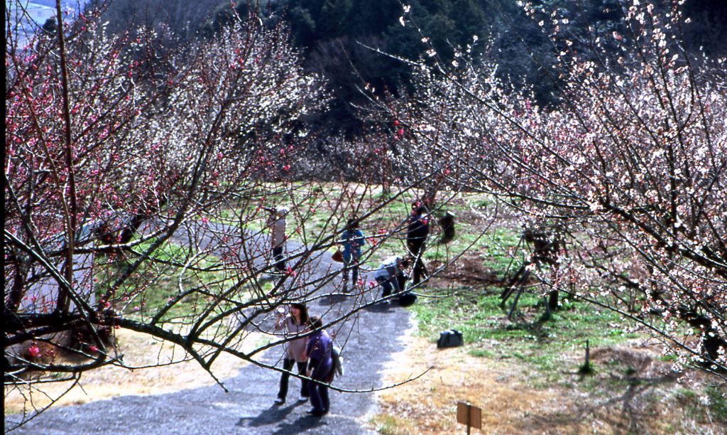 f0040670_20283491.jpg