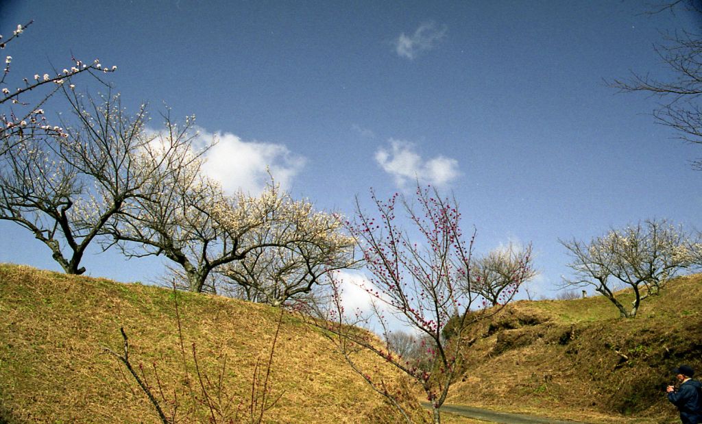 f0040670_20534110.jpg