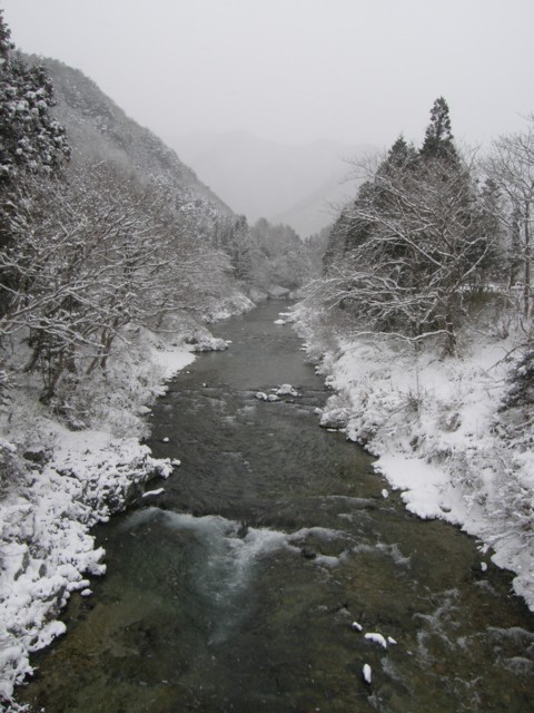 d0134473_13285671.jpg