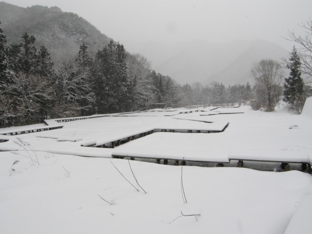 d0134473_13375663.jpg