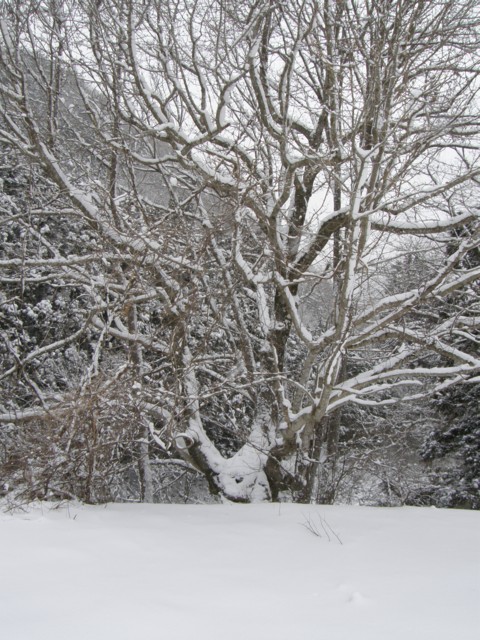 d0134473_13434415.jpg