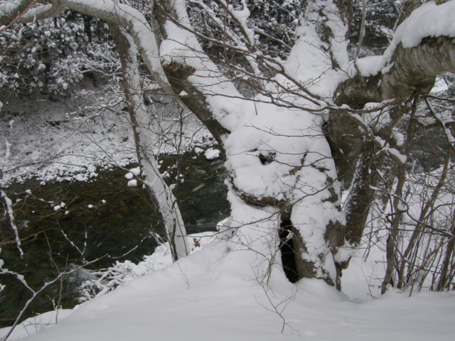 d0134473_134618100.jpg