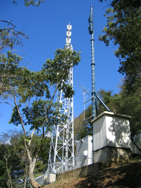 f0174373_10451.jpg