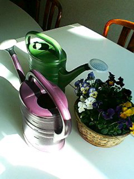 f0054677_9294020.jpg