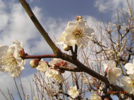 b0002879_23481931.jpg