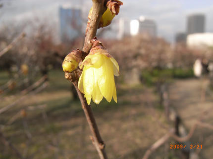 b0002879_23483885.jpg