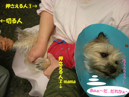 e0066883_21201318.gif