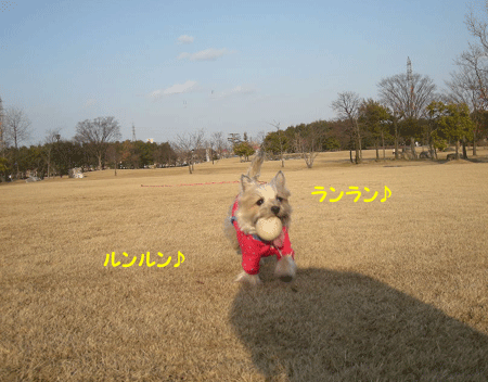 e0066883_21236100.gif