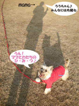 e0066883_2124923.gif