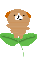 e0066883_21582752.gif