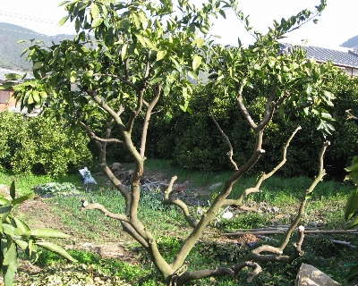 f0003283_13133333.jpg