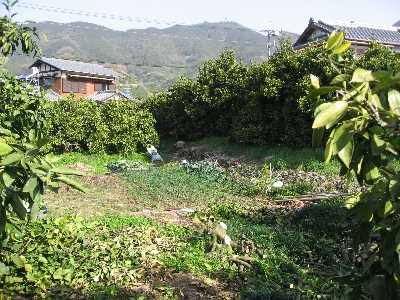 f0003283_13141657.jpg