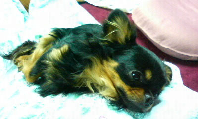 c0192988_23215539.jpg