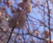 f0189791_2357958.jpg