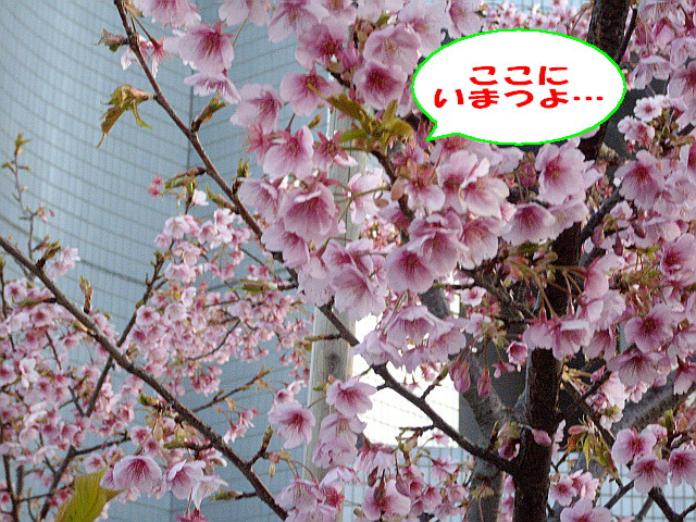 c0138198_2284438.jpg