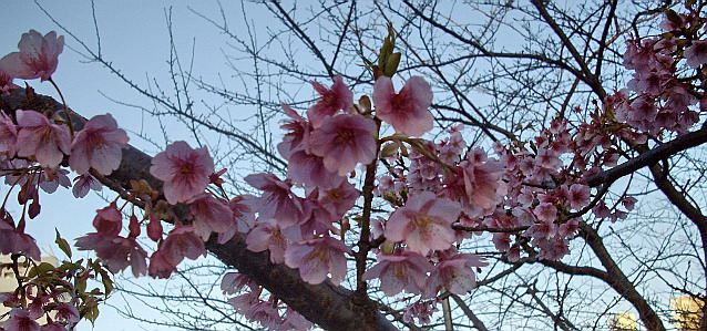 c0138198_9302377.jpg