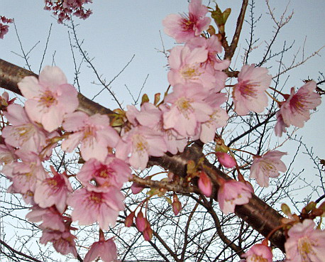 c0138198_9323324.jpg