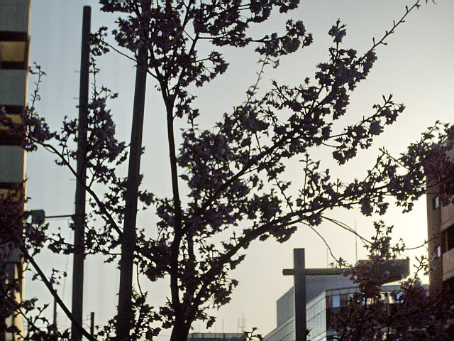 c0138198_9393026.jpg