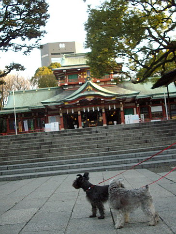 c0138198_947054.jpg