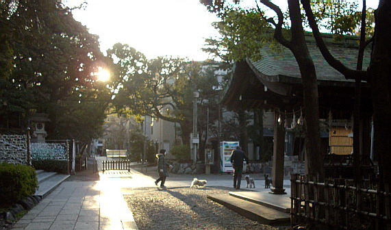 c0138198_9491028.jpg