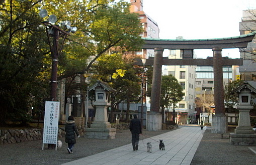 c0138198_9505642.jpg