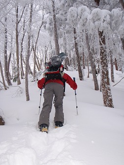 c0147398_034791.jpg
