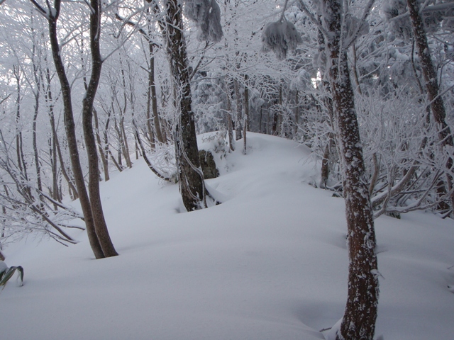 c0147398_042257.jpg