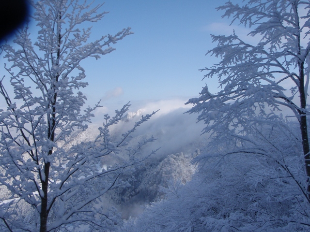 c0147398_051469.jpg
