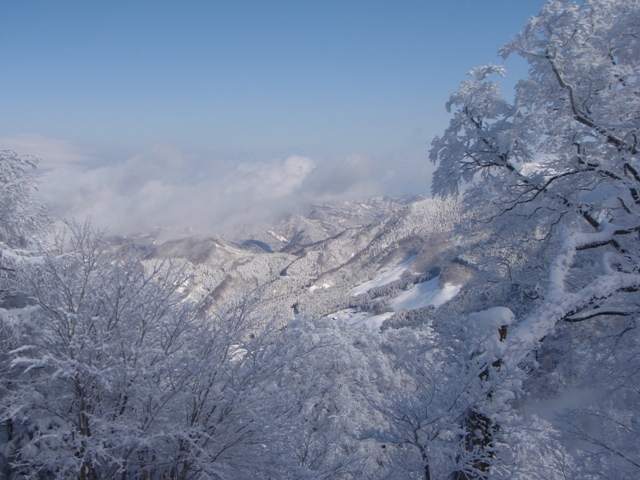 c0147398_052347.jpg