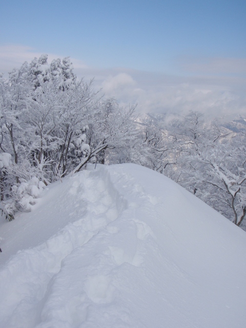 c0147398_054239.jpg