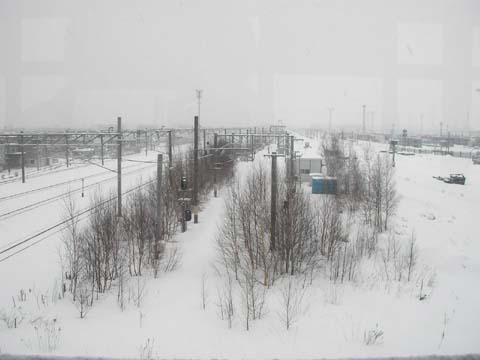 d0004301_0135510.jpg