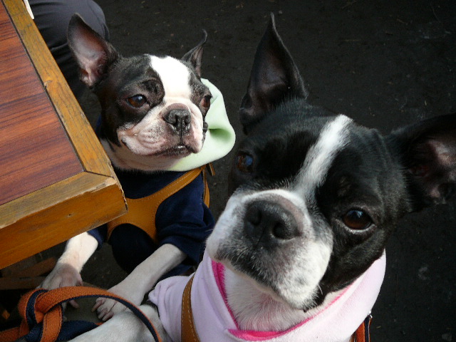 d0070702_2349723.jpg