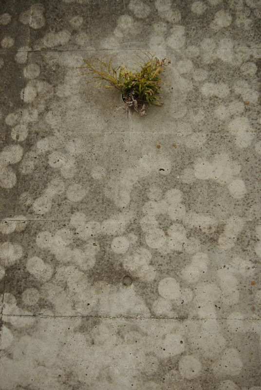 c0187503_17401027.jpg
