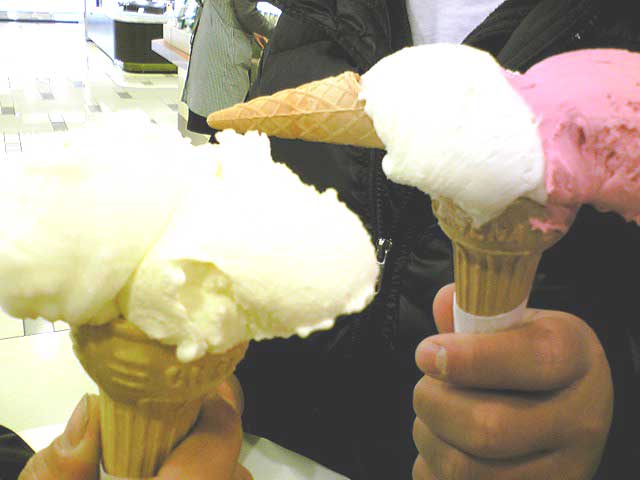 d0052404_2337555.jpg