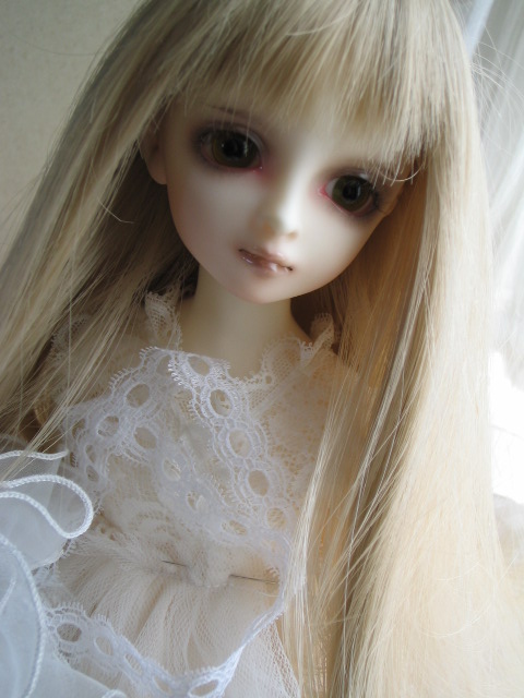 d0101907_17572477.jpg