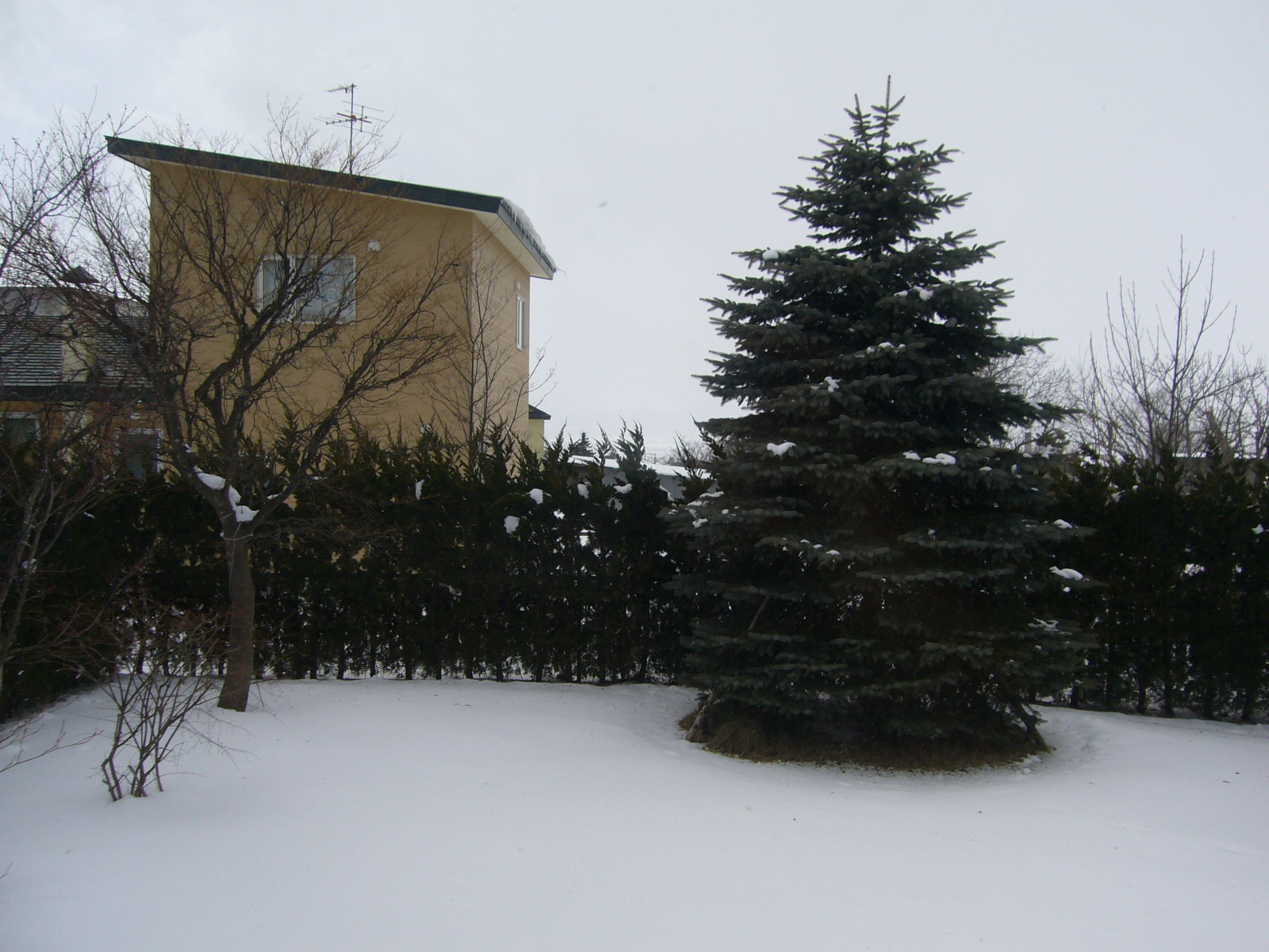 c0125808_21445281.jpg