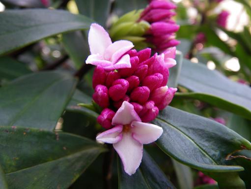e0123808_2184949.jpg