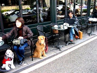 a0027014_18561211.jpg