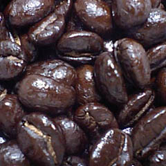 c0036617_1823058.jpg