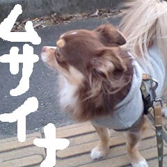c0036617_1833213.jpg