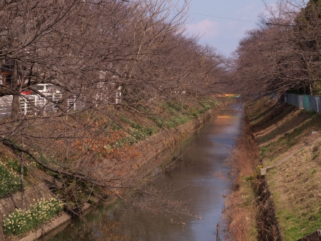 d0114517_16111196.jpg
