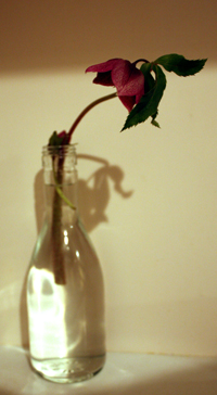 e0141819_1215327.jpg