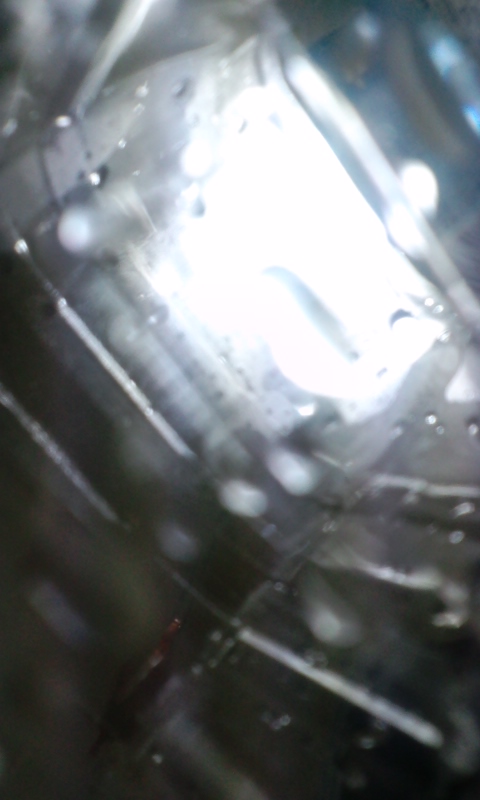 b0149320_272716.jpg